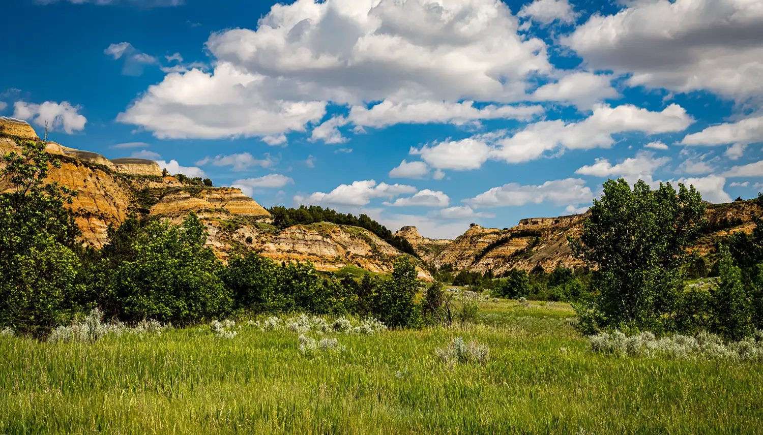 Summit Counseling Services in North Dakota